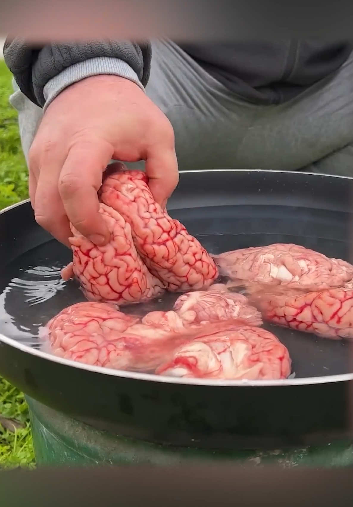 Cooking beef brains — rich, tender, and full of flavor! 🧠🔥 Not for everyone, but unforgettable for the brave! ⸻ #beefbrains #brains #offal #meat #cooking #bbq #grill #Foodie #tasty #yum #delicious #rarefood #exoticfood #foodvideo #chef #rusticcooking #wildcooking #cleancooking #reels #viral #adventurousfood