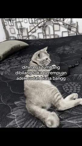 #wlw #pelangi #segender #wlwtiktok #wlwlesbian 