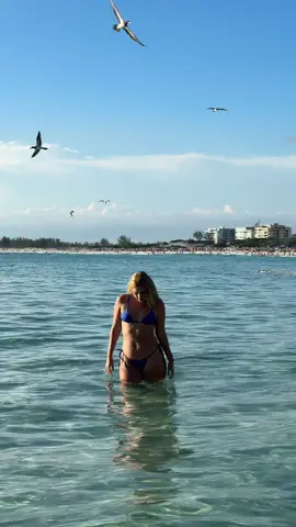 🦈 #foryoupage #foryou #beach #playa #brasil 