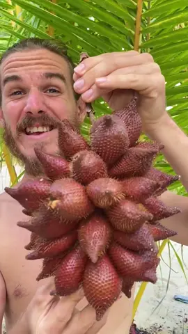 LAST 2 SPOTS for the Thai Fruit Retreat 2025! Send us a DM right now🙌