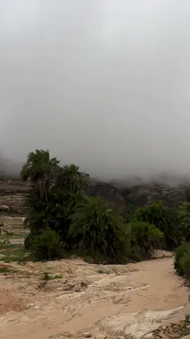 #سراه_خولان 