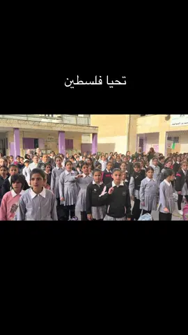 ##التربوية #المعلمين_المعلمات #فلسطينية #التعليم #اللغة 