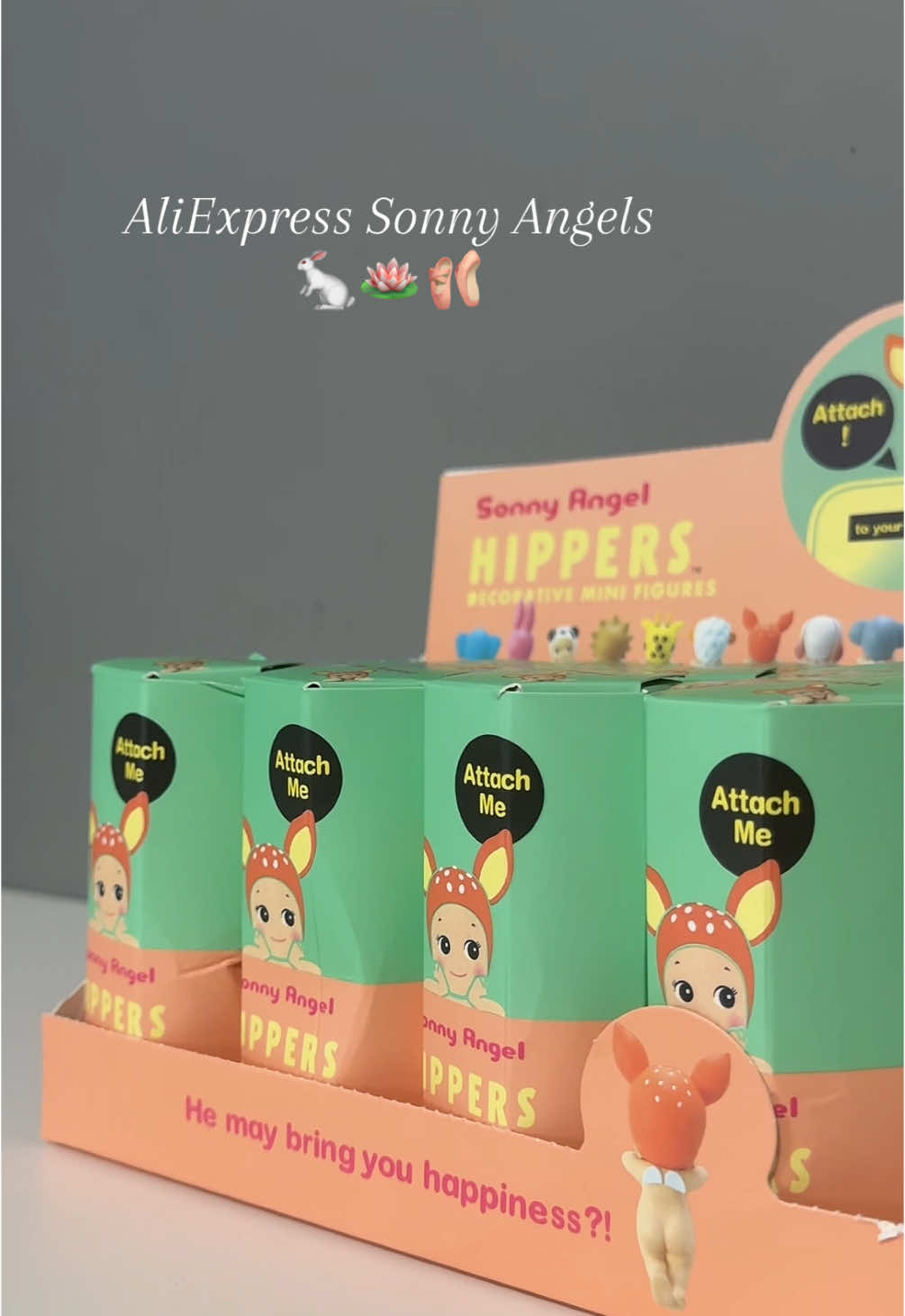 Sonny Angels HIPPERS🩷 #sonnyangel #blindbox #sonny #aliexpress #fake
