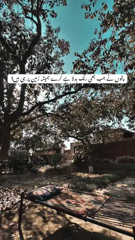 Billul ❤️‍🩹#fypシ゚ #viralvideo #sheroshayari 