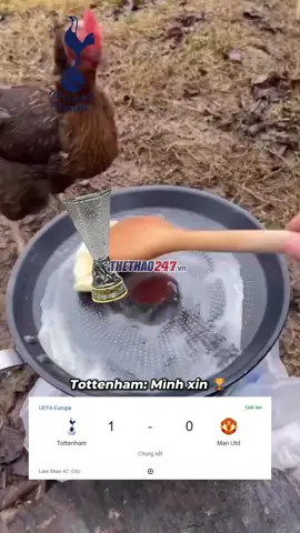 Tâm linh là có thật 😱!!...Phải chăng Gà Trống sẽ thật sự giải vía chăng tay 🤯 HT: Tottenham 1-0 Man Utd #manchesterunited #tottenham #manutd #europaleague #funny #meme #thethao247 #spurs