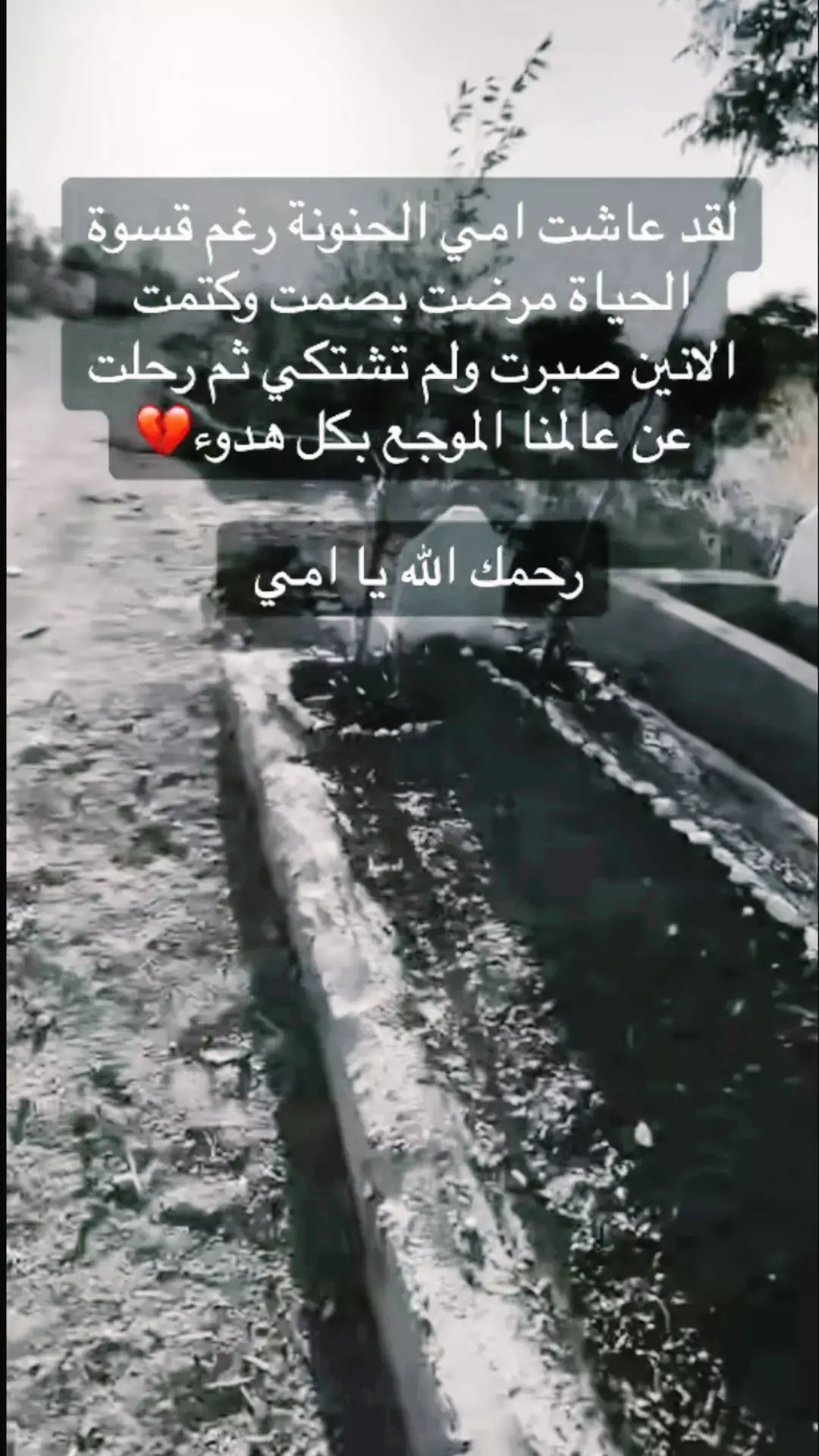 #رحمك_الله_يا_فقيدة_قلبي💔 