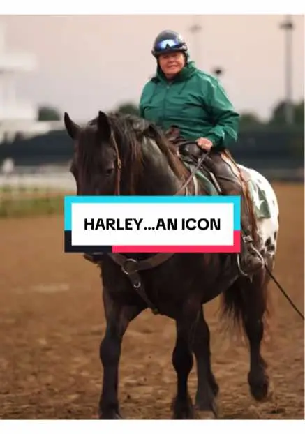#KentuckyDerby #Harley #Pony #Icon #charlixcx 