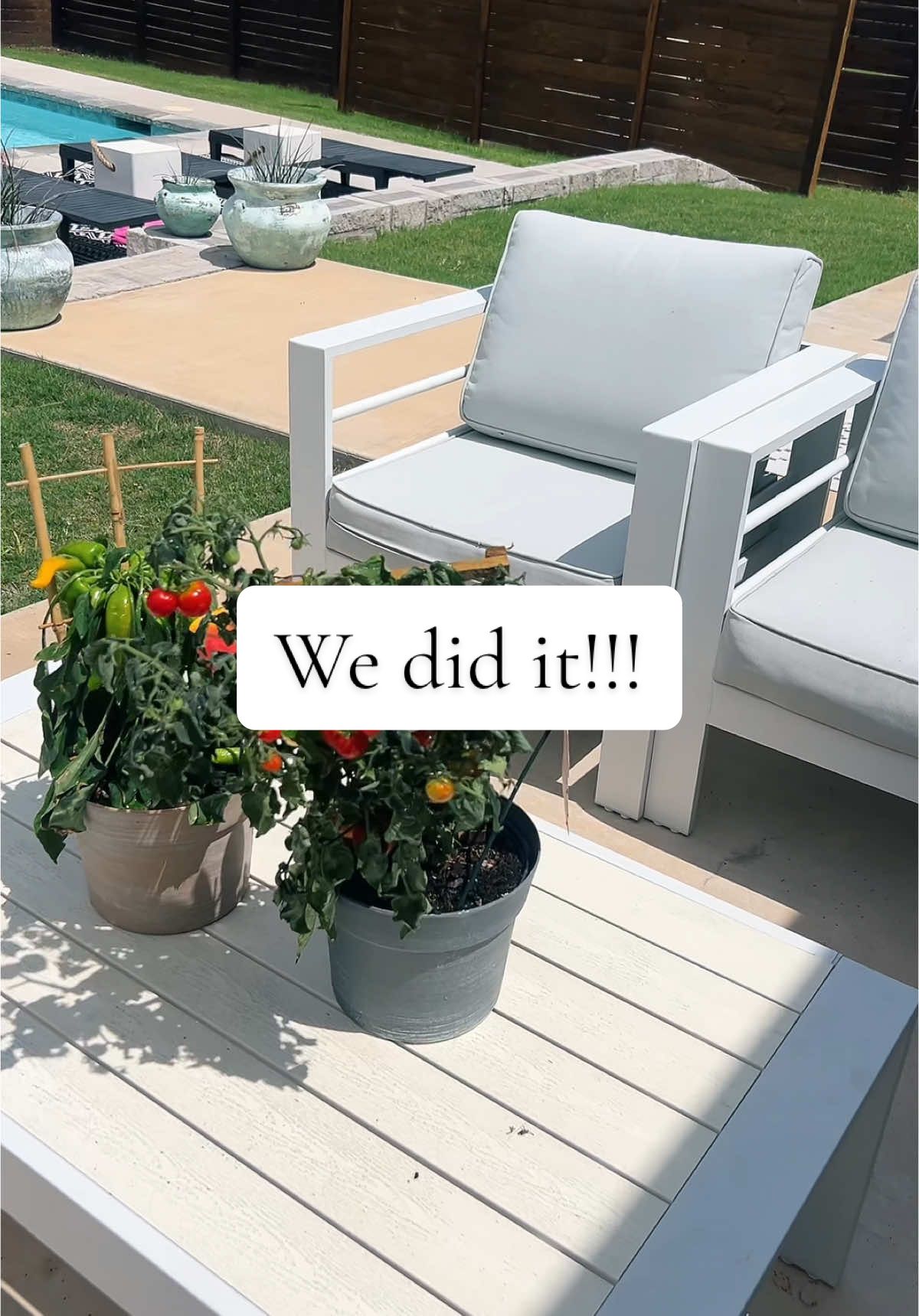 Ahhhh so excited!! #garden #veggies #plantsoftiktok 