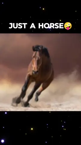 Just a horse🤪 #viral #memarnia #horse #meme #like #usa 