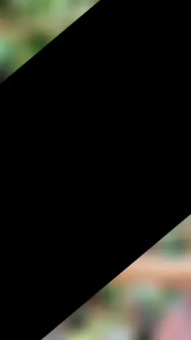 tiền đây rồi ae #ahihi 