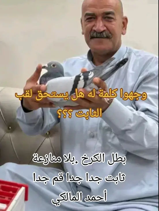 @احمد المالكي 