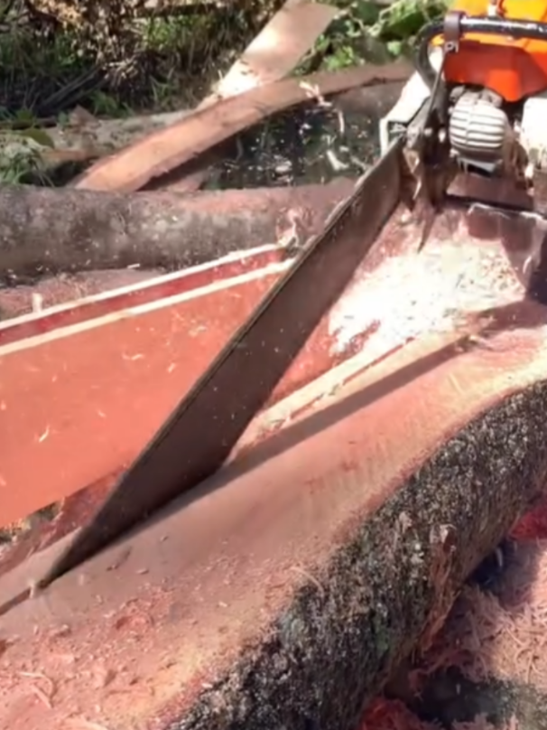 #ChainsawMilling #sawmill #treecut #lumberjack #MakingLumber #cuttingtrees #LoggingLife #LoggingLife #loggertok #ViralChainsaw #board #chainsawskills #ChainsawWork #DIYLumber 
