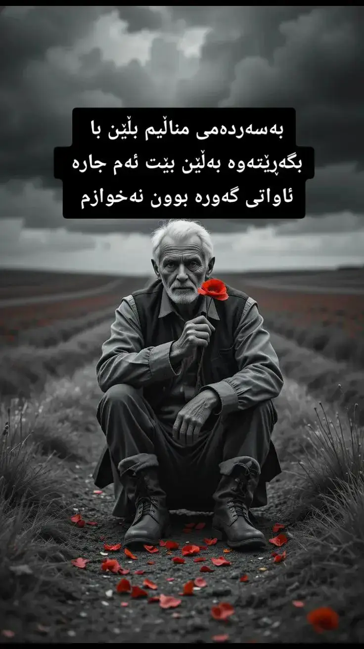 #virial #fyp #foryourpage #kurd #fypシ゚viral #fy #foryou #fyppppppppppppppppppppppp #fypシ #actives? #fypage #کوردستان_سلێمانی_کەرکوک_هەولیر_دھۆك #کوردستان_سلێمانی_کەرکوک_هەولیر #minivlog #kurdistan #f #هەولێر_سلێمانی_دەهۆک_ڕانیه_کەرکوک #red #foryoupage 