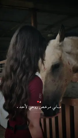 ماني مرخص روحي لأحد.👌🏻❤️✨#راشديةمطنوخة #خيل_وخياله🐎 #capcut #fyp #foryou #viralvideo #viral 