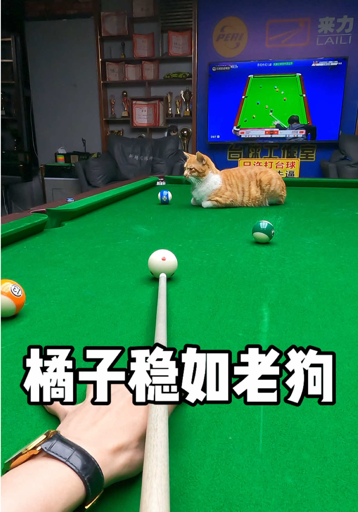 #台球 #台球教学 #Billiards 