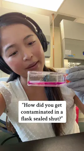 Sometimes cells are so resistant and then it takes one little thing to make them alll go down 😭 #phd #phdstudent #lab #WomenInScience #sciencetok #phdlife #research #labhumor 