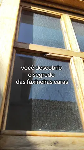 Limpeza satisfatória! #creatorsearchinsights #organizacao #limpezadacasa #rotinadecasa #donadecasa #fypシ゚ #vaiprofycaramba @🏡 Lar 258 🏡 