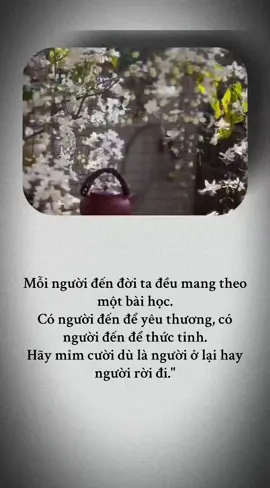 #nammoadidaphat🙏🙏🙏 #nammoadidaphat #trietlycuocsong #nammoadidaphat🙏🍀🌹 #tinhthuc #nhungloiphaphay #🙏🙏🙏 #loihayydep 