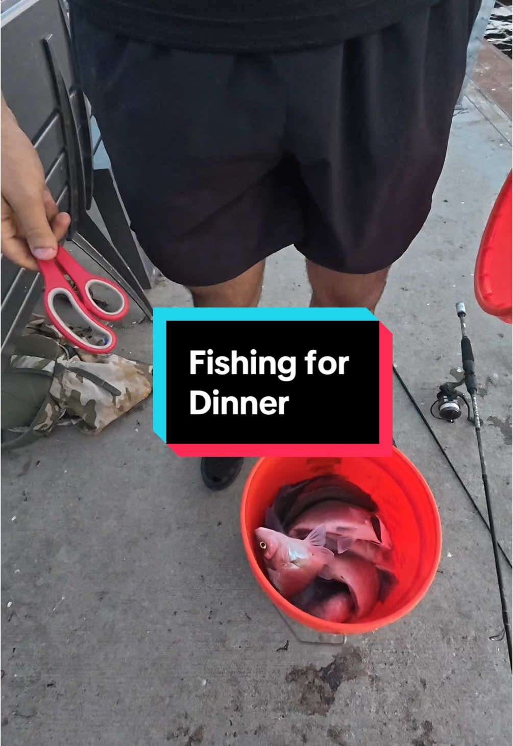 Fishing untill we fill up our bucket #fishing #fishingvideos #pierfishing 
