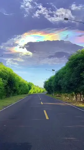遇见彩虹，吃定彩虹？#第一视角 #在路上 #风景 #海外生活#随拍 