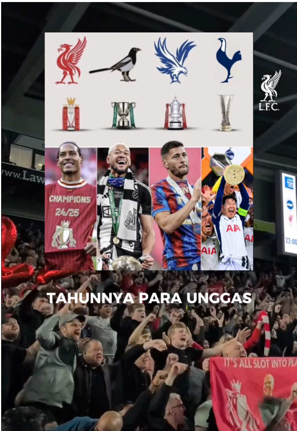 Tahunnya Para Unggas di Inggris #liverpool #newcastle #crystalpalace #tottenham #birds 