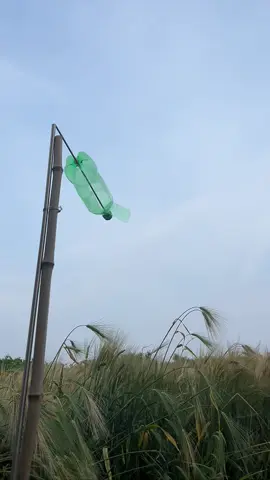 It's time to have fun !#knot #rope #knottutorial #knottutorials #campinghacks #camping #knotsforcamping #knotsforfishing #knotsforbeginners #lifeskill #LifeHack #boyscouts #bushcraft #survivalskills #Outdoors #knotting #sheetbend #hitch #simpleknot #bestknot