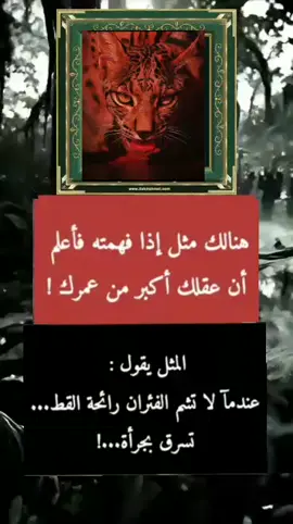 #اكسبلوارتكم 