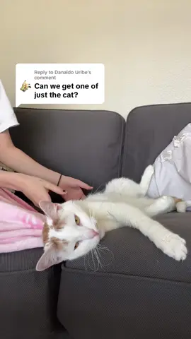 Replying to @Danaldo Uribe dance jappa dance