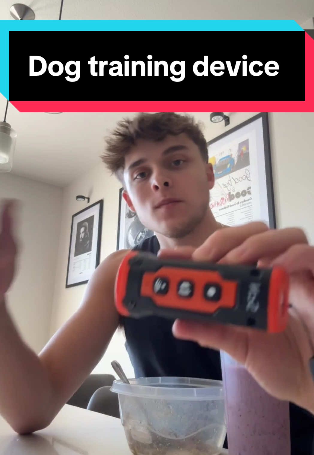 If you need help training ur dog, plz get a dog whistle and reward him when using it after, soon they will see u grabbing it and behave before u even have to use it👍🏼 #dogsoftiktok #dogs #DogTraining #puppytiktok #puppytraining 