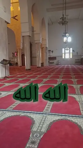 الله الله  #islamic #explore #الله_الله #الله #اناشيد_قديمة #اناشيد_رآئعة #اناشيد_بدون_موسيقى #اناشيد_اسلاميه #اناشيد #fyp #foryou #