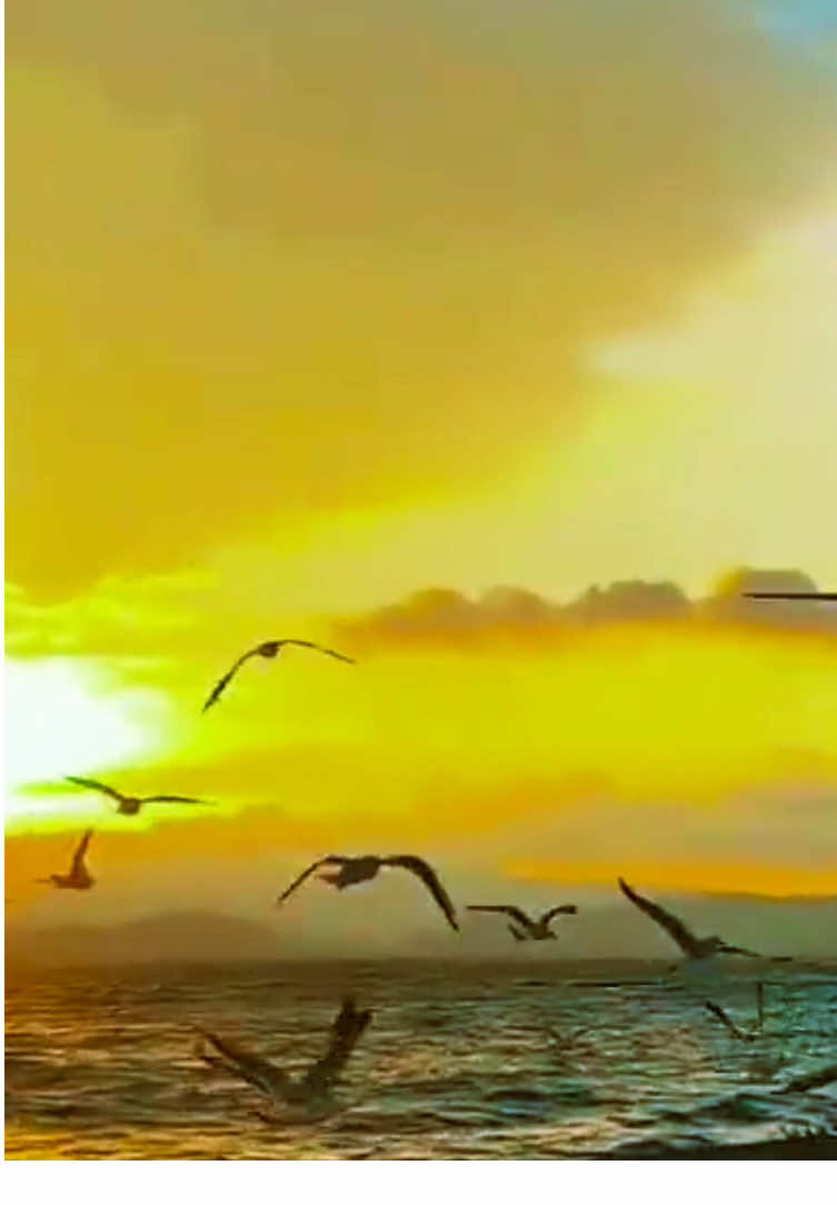 Membalas @kyydmon pantai rancabuaya garut #pantairancabuaya #rancabuaya #garut #pemandanganalam #sinematik #estetik #pemandangan #pemandanganlaut #wisata #wisatagarut 