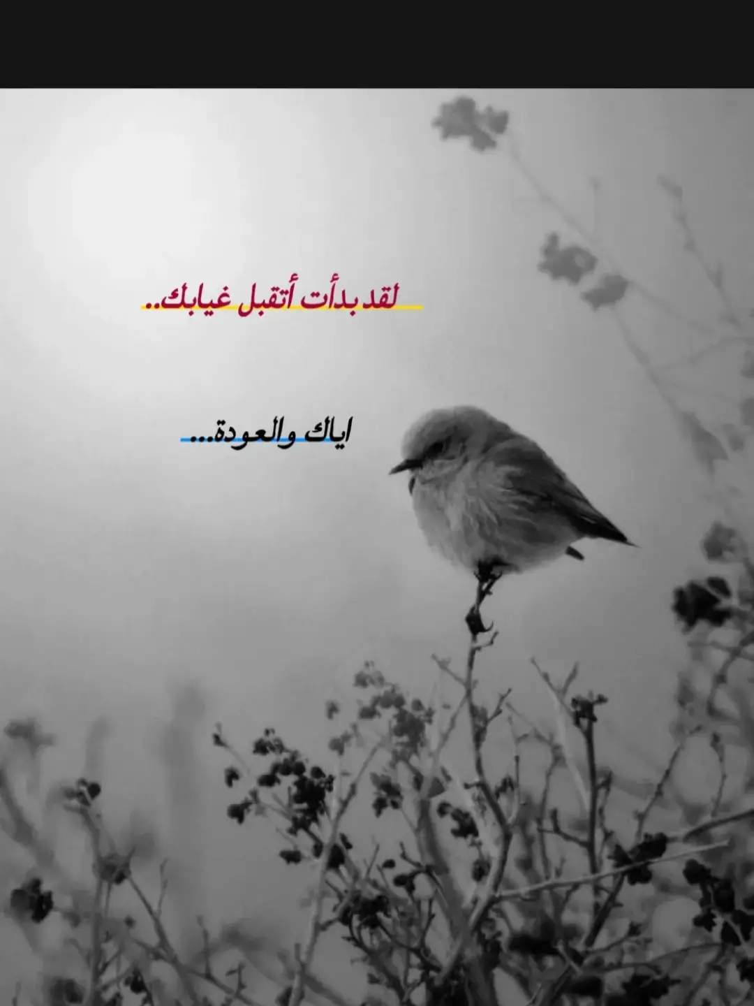 #اقتباسات_عبارات_خواطر #عبراتكم_الفخمه📿📌 