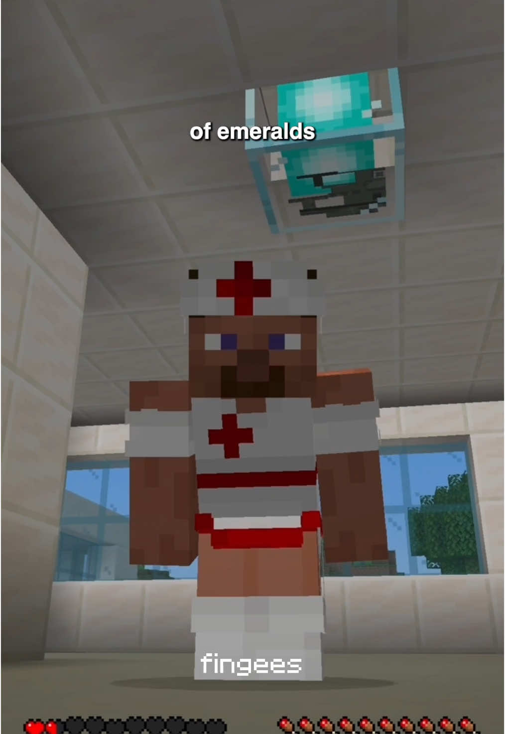 I added insurance to #Minecraft #cursedminecraft #minecraftmemes 