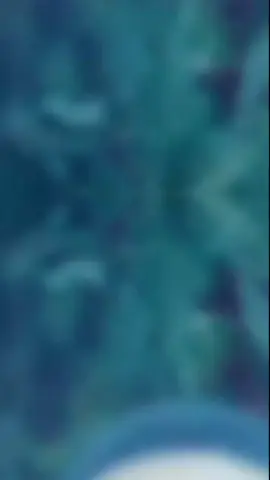 #CapCut #creatorssearchinsights2025 