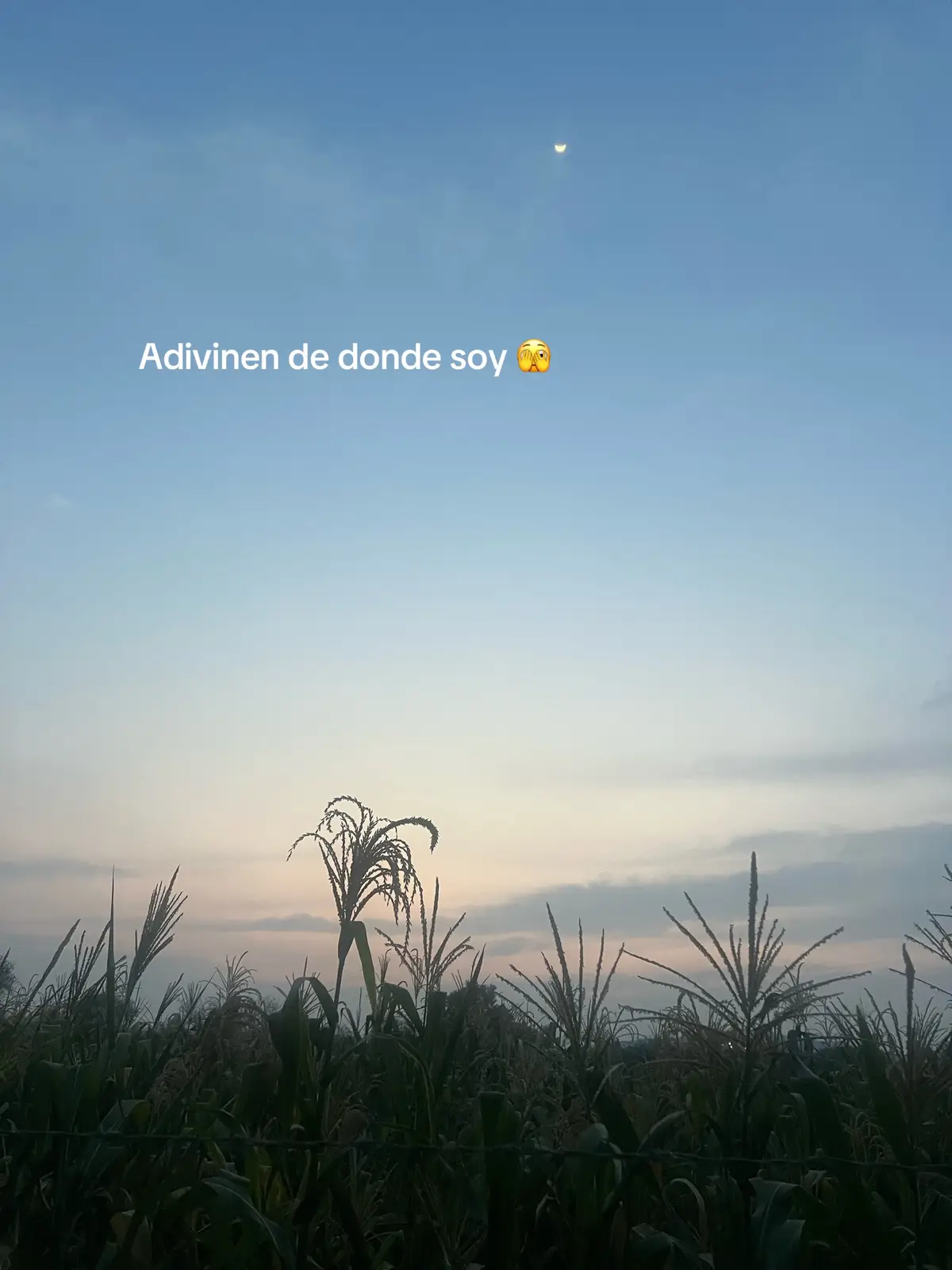 Con la última foto lo digo todo 🤭