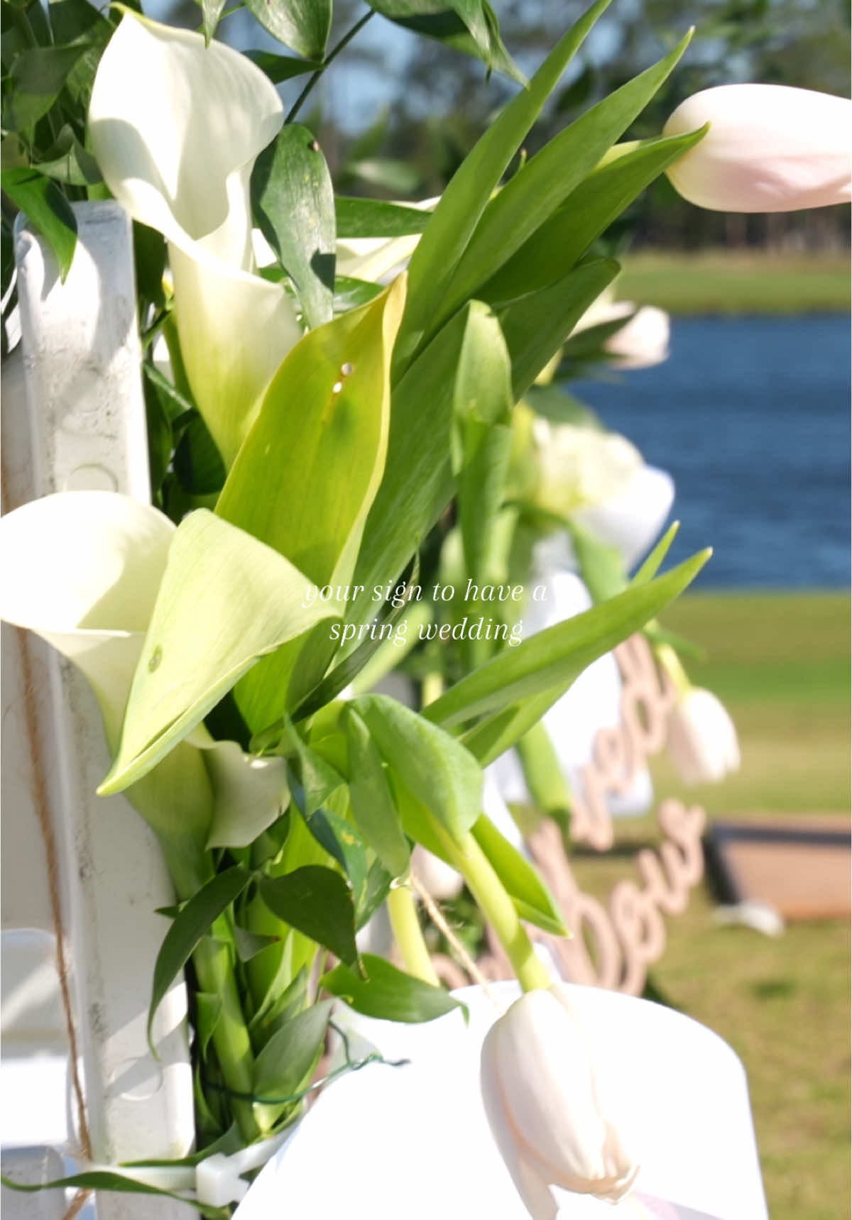 a fairytale 💐💫 sorry I’m never gonna stop posting (also this isn’t the wedding video just raw footage I put together) #wedding #weddingedits #springwedding #weddingthemes #creatorsearchinsights 