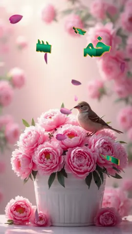 #حالات #ستوريات #صباح #صباح_الخير #صباحكم_أحلى_صباح #صباحيات #صباحاتي_الجميله #الحمد #الخميس_الونيس #صباح_الورد #اكسبلورexplore 