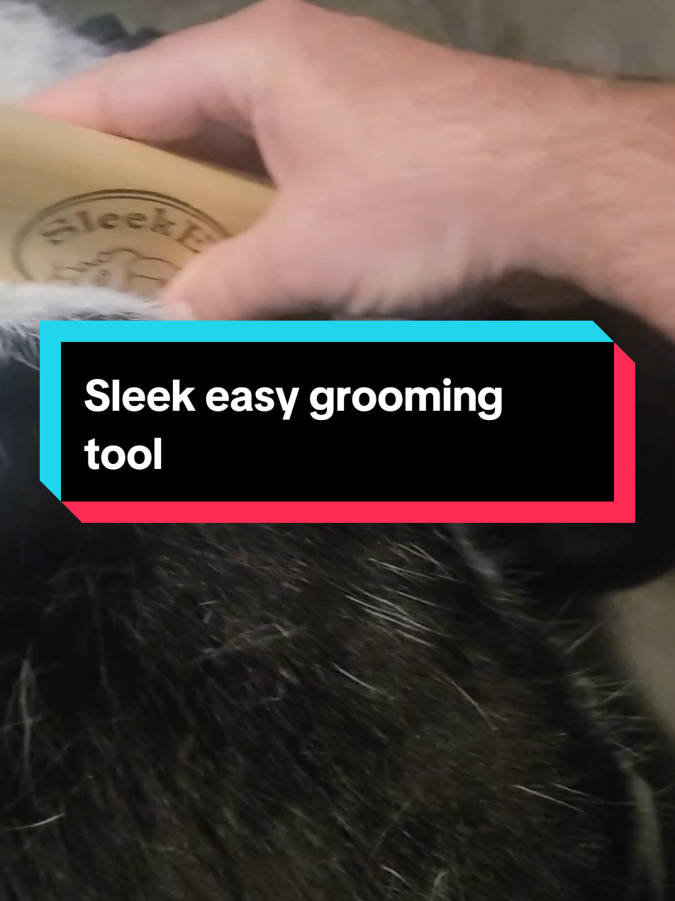 sleekEZ grooming tool #grooming  #pets #petsoftiktokfunny #cat #catsoftiktok #dog #dogsoftiktok 