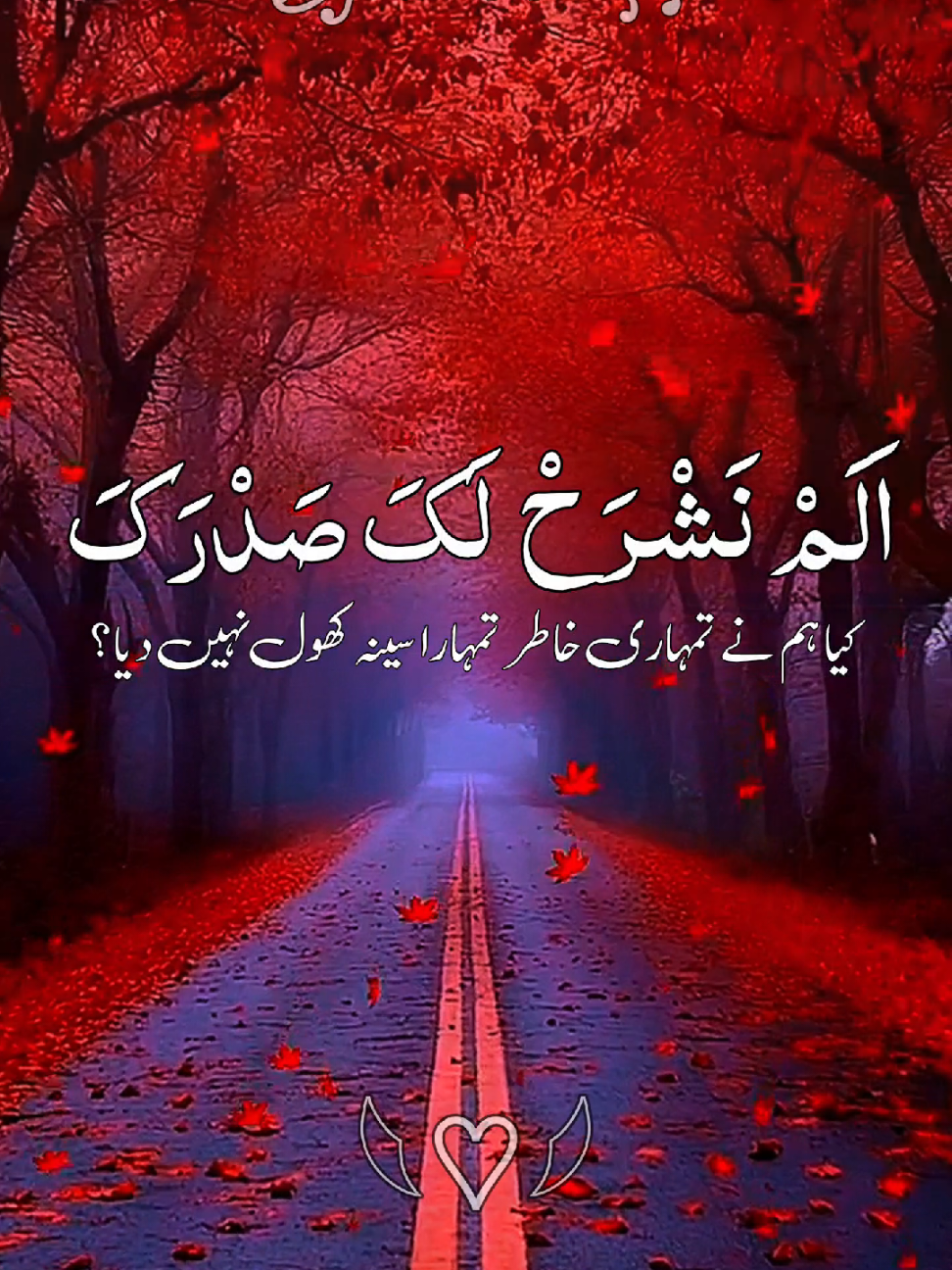 #القران_الكريم #القران_الكريم_راحه_نفسية😍🕋 #ارحمنا_برحمتك_ياارحم_الراحمين #ماشاءالله_تبارك_الله #ارح_سمعك_بالقران #راحة_نفسية #quran #grow #growmyaccount #fyp #fouryou #foryoupage❤️❤️ #unfreezemyacount @TikTok @tiktok creators @TikTok UK 