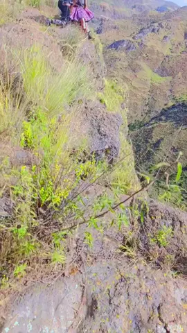 #cabanita 