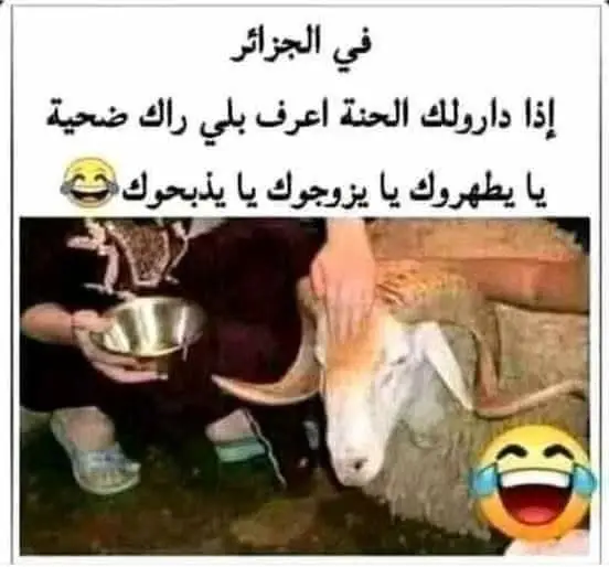 #الشعب_الصيني_ماله_حل😂😂 #تحياتي_لجميع_المشاهدين_والمتابعين #hashtag #tik_tok #tik_tok #fypp #foryoupage❤️❤️ #pourtoiiiiiiiiiiiiiiiii #explore #CapCut 