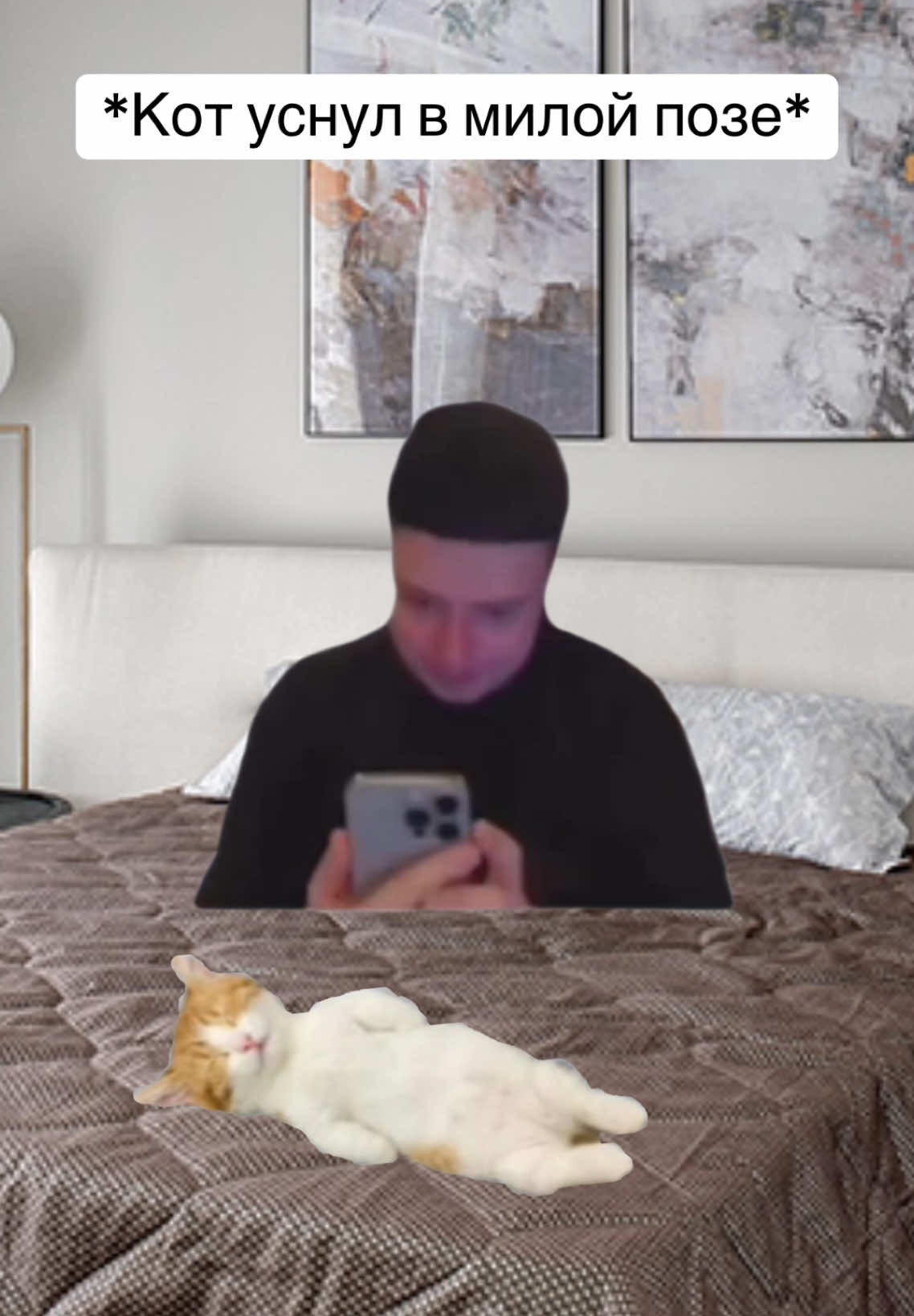 Когда кот уснул в милой позе | #мемасикиприколы #приколымемы #мемышутки #меллстроймем #котмем #уснул #котуснул #сфоткал |