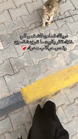 ضلام أنت بحياتي 