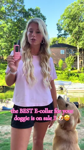 i swore I always hated e collars until i found this one ! #fyp #dogmama #goldenretriever #DogTraining #ecollar 