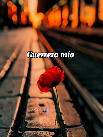 Dulces sueños mi luchadora ✨😘 #buenasnoches #dulcessueños #hastamañana #cosasdeparejas #cosasdenovios #videoparadedicar #deamor #frasesdeamor #videodebuenasnoches #fyp 