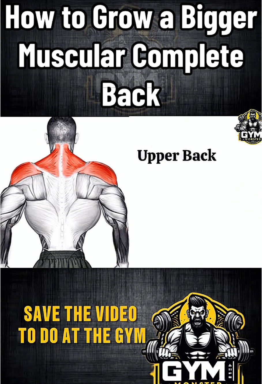 How to Grow a Bigger Muscular Complete Back #back #GymTok #gymmonster #motivation #Fitness #exercise #bodybuilding #training 