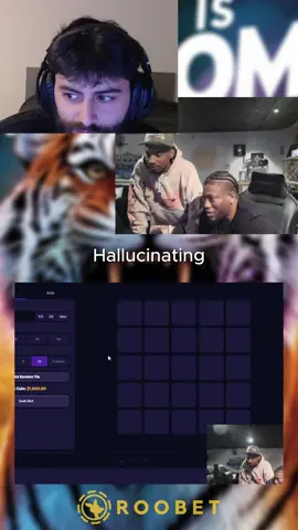 Hallucinating