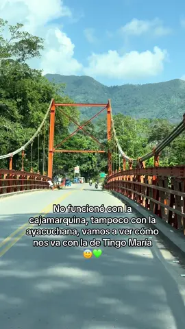 📍NOS VAMOS A LA FIESTA DE SAN JUAN - TINGO MARIA 🎈🥳 Para mayor información, escribenos al WhatsApp📲:943-683-697. DATOS:  -Viaje de 3 días, 2 noche ( 23-24-25 junio)  -Bus parrandero  #sanjuan #tingomaria #selva 