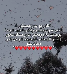 #المدينه_المنوره #هواجيس #4u #fyppppppppppppppppppppppp 