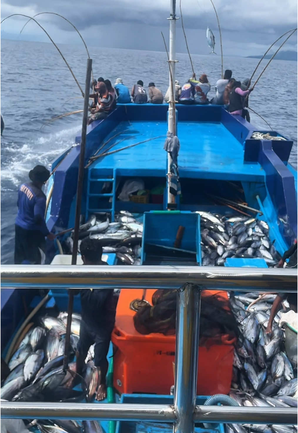 KM SETIA SATU HATI 01 / KM MAMA MUDA #fhising #poleandlinefishing #pole and line #cakalang #ikankawang #fhisingground #malukuutara #tobelohalmaherautara #fypシ゚ #fyppppppppppppppppppppppp #dufadufaternate 